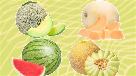 melons tue|16 Types Of Melons, Explained